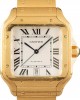 Cartier Santos 100 WGSA0029  Watch 18k Yellow Gold Silver Dial Replica