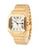 Cartier Santos 100 WGSA0029  Watch 18k Yellow Gold Silver Dial Replica